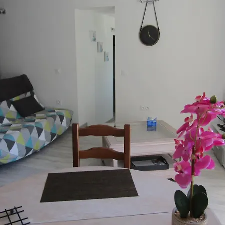 Les Cactus 巴涅尔德比戈尔