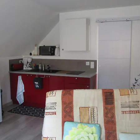 Les Cactus Appartement Bagnères-de-Bigorre
